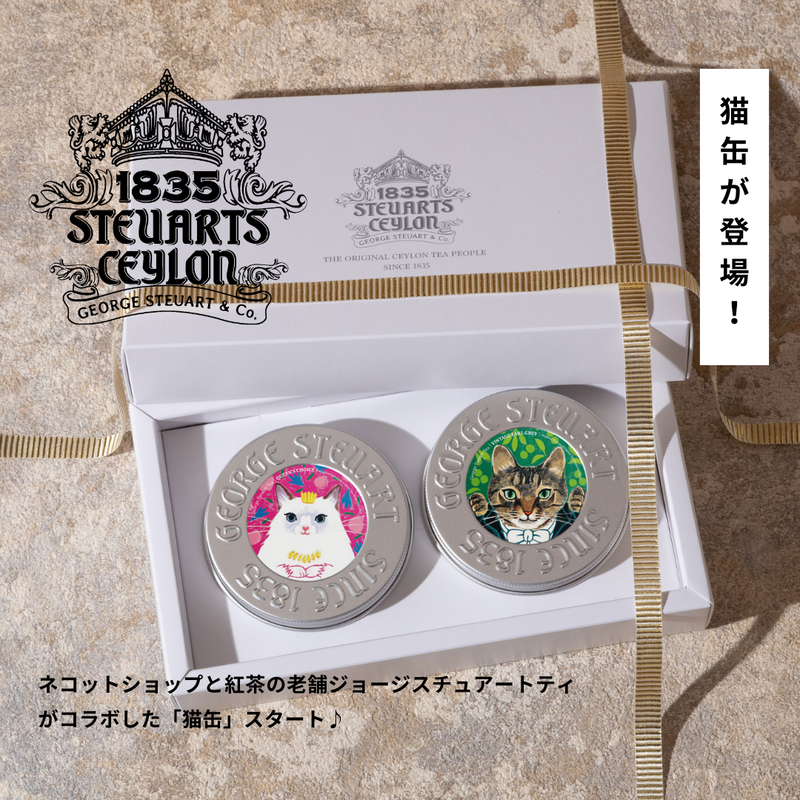 【1/31～2/6 】新宿高島屋のGeorge Steuart Tea様の催事に「猫缶」登場