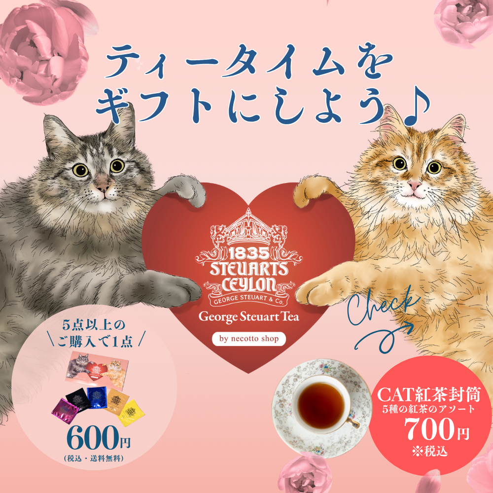 猫ひた サイン入りグッズ 小林 岡田 ７５０円 Amazon.co.jp: 薬師窯 錦彩 鈴音お金 招き猫 高さ8cm にしだ