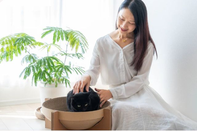 猫雑貨専門店が提案するこだわり